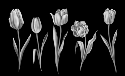 Цветок 024 (тюльпаны)