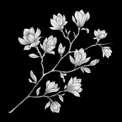 Ветка цветов 033 (магнолия)